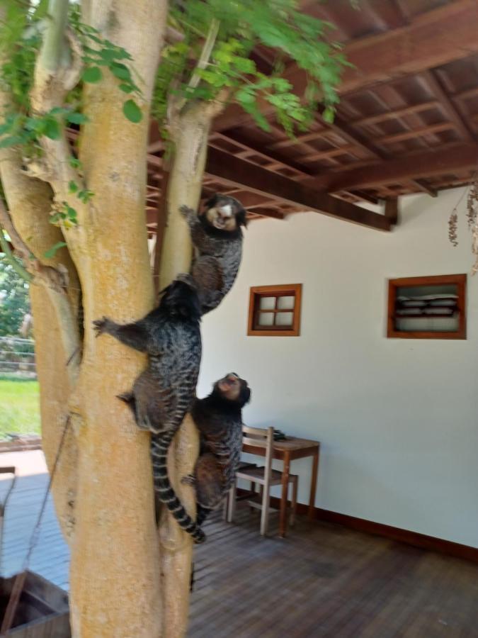 Manjuba Pousada - Taipu De Fora Taipus de Fora Extérieur photo